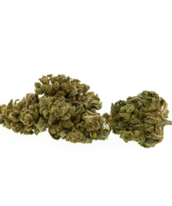 gras-cbd-premium-zoet-melon_web