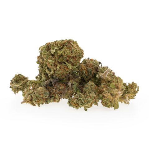 gras-cbd-aardbei-baby-buds_1_web